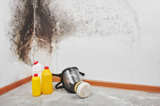 Haskell, OK Mold Remediation Company