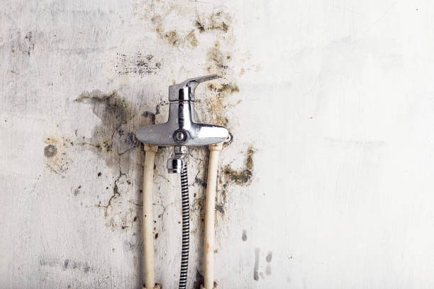 Best Mold Remediation for Schools in Haskell, OK