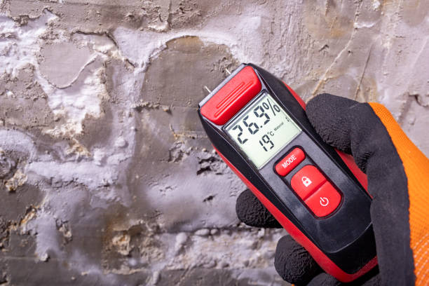 Best Attic Mold Remediation in Haskell, OK