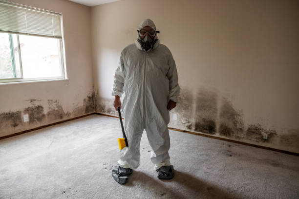 Best Industrial Mold Remediation in Haskell, OK